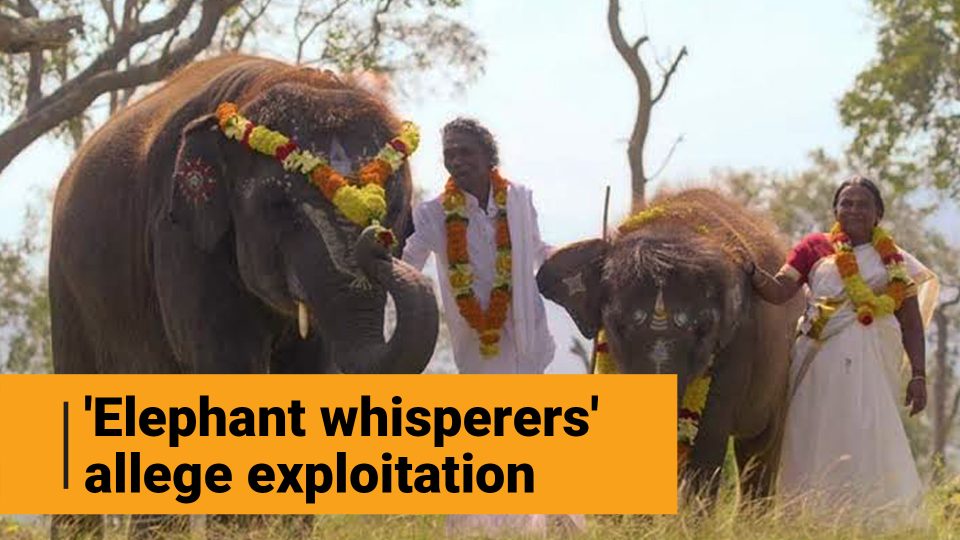 Bomman and Bellie, stars of The Elephant Whisperers, accuse filmmakers of exploitation