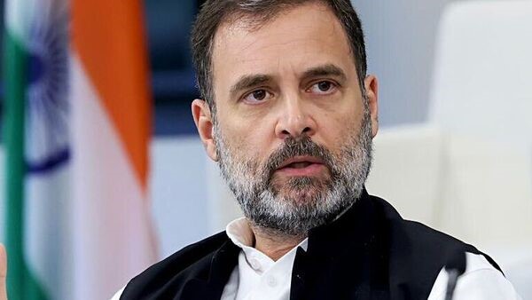 Rahul on thin ice, though Parliament can do with some levity: BJP on SC order