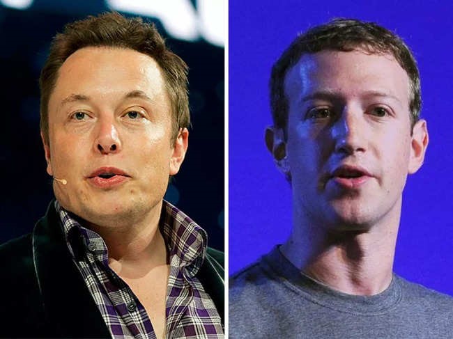 Musk vs Zuckerberg, cage fight