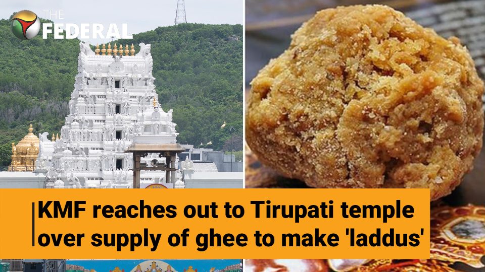 KMF seeks collaboration with Tirumala temple to provide ghee for laddu preparation