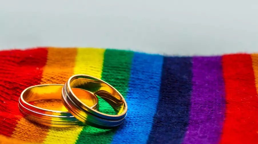 LGBTQIA+ members, parents, same sex marriage