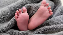 After rats gnaw on 2 newborns in MP hospital, 1 baby dies of pneumonia
