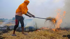 Punjab farm fires