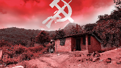 Woman ultra hurt in November police firing in north Kerala dead: Maoist group