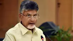 Chandrababu Naidu, TDP, president, airport, YSRCP, Visakhapatnam, executive capital, protests