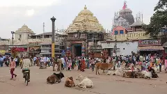 Jagannath temple Puri, Odisha
