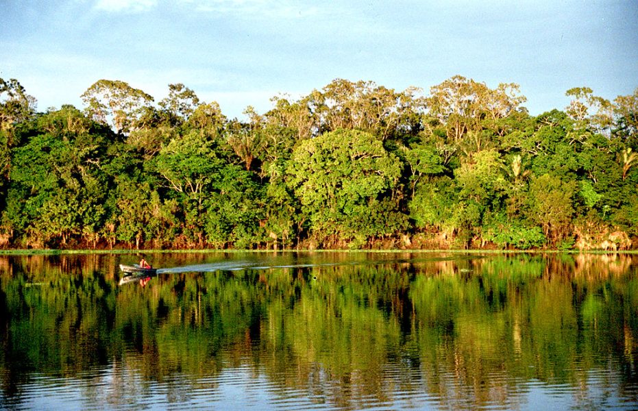 Amazon rainforest COP15, 30x30