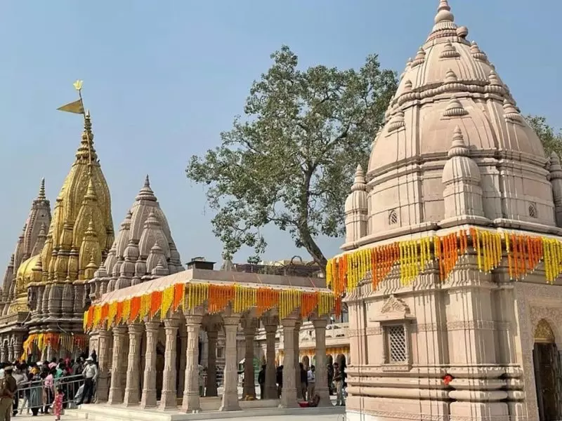 Kashi Vishwanath temple, Varanasi, Sri Anna prasad