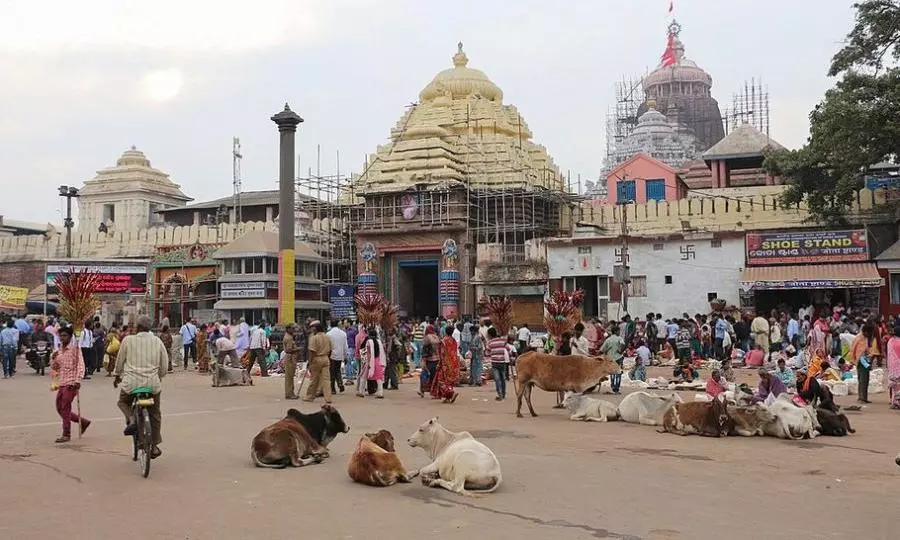 Jagannath temple Puri, Odisha