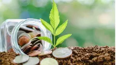 Looking for safety, liquidity, healthy returns? The name could be bond