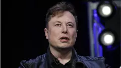 Elon Musk vs Halli: Heres what happened on Twitter