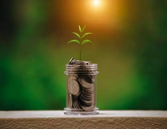 Mutual funds: Why growth plans are a better option for investors