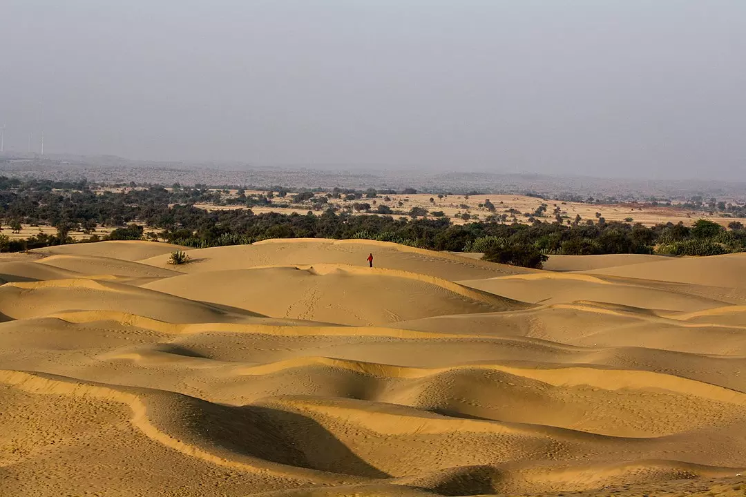 Thar Desert could go green by centurys end due to climate change: Study