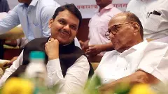 NCP chief Sharad Pawar, BJPs lust for power, Devendra Fadnavis,