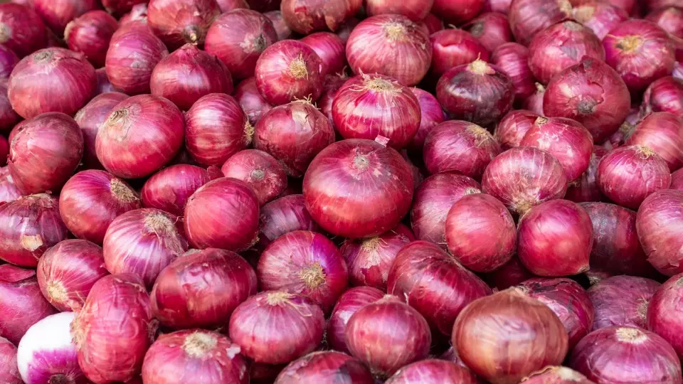 High onion prices, Morocco, Philippines, drought, frost, flood, Ukraine war