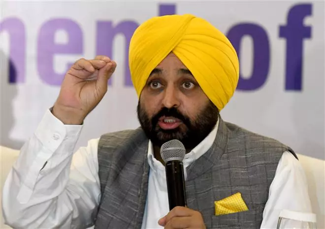 CM Mann urges Punjabs NRIs to partner in the states socio-economic development