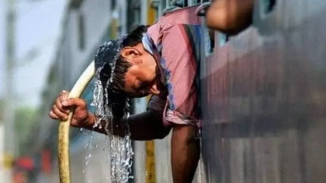 Deadly heat waves becoming more frequent, increasing mortality: Study