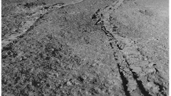 Pragyan rover successfully rerouted after encountering crater on moon surface