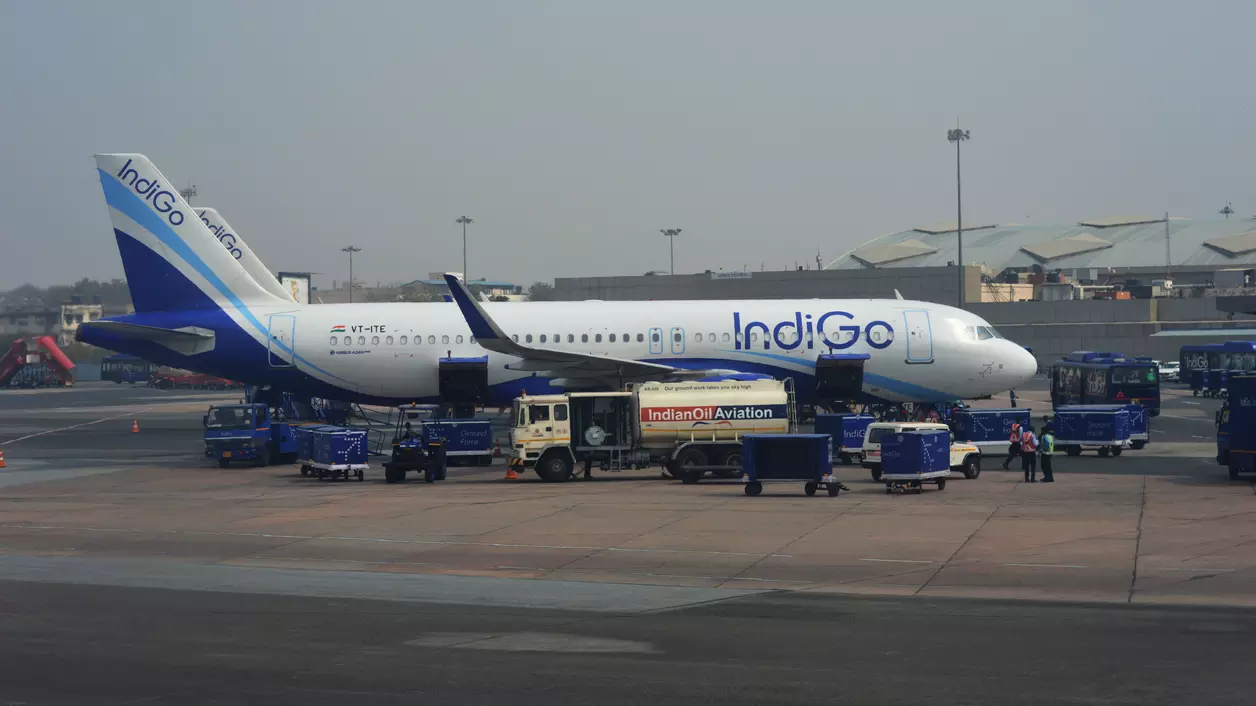 Indigo