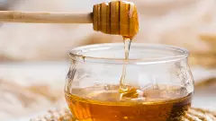 Jammu-Kashmir’s Bhaderwah Rajmash, Sulai honey get GI tags
