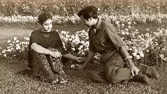 Rebel, writer, provocateur: How Amrita Pritam shaped India’s feminist imagination