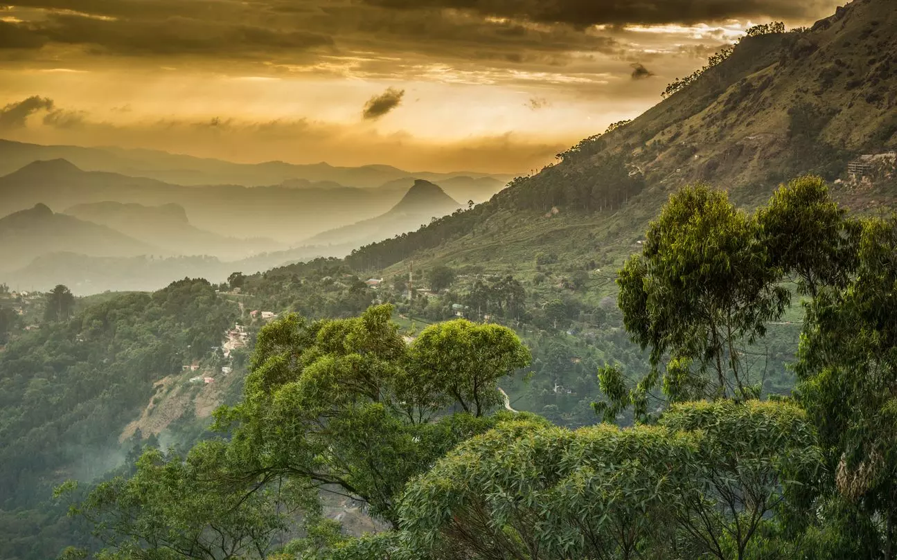 Why a draft notification on Western Ghats could be a political hot potato in Karnataka