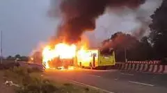 More than 360 booked for violence over Maratha quota in Maharashtras Jalna