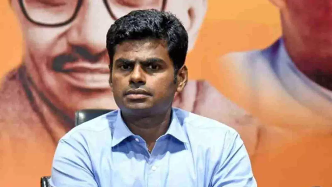 K Annamalai, BJP Tamil Nadu, DMK, audio clip, Tamil Nadu, PTR