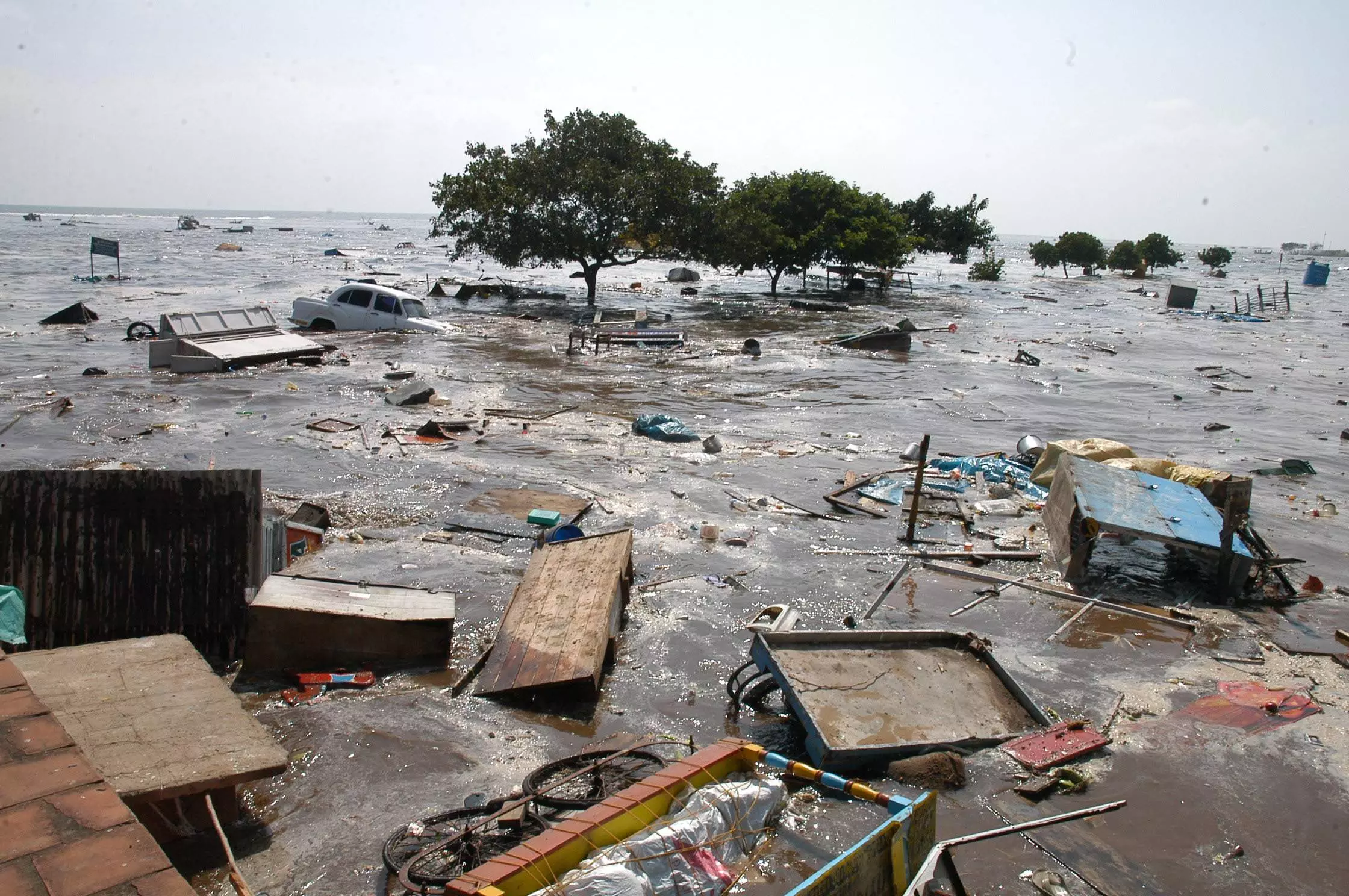 Tsunami Earthquake Indonesia - The Federal