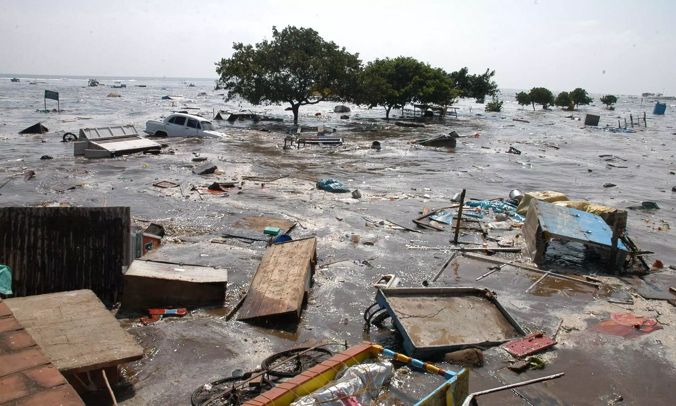 Tsunami Earthquake Indonesia - The Federal