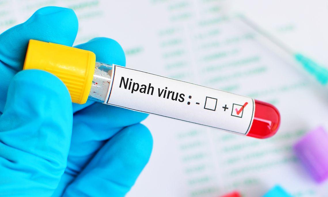 WHO says Nipah virus spread risk low in India, no travel restriction needed