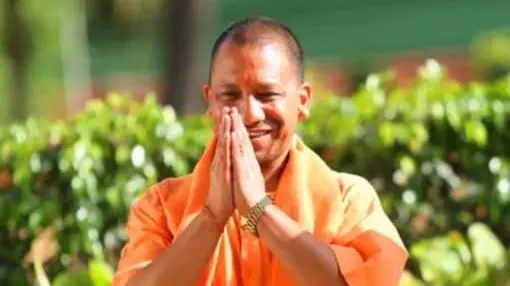 Yogi, UP