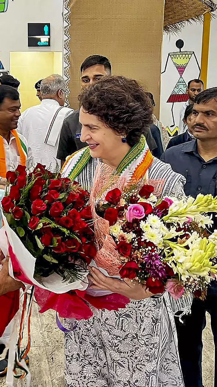 Modi mum on job crisis, price rise while friends making money: Priyanka
