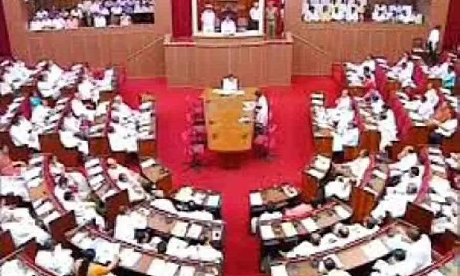 Two BJP MLAs suspended from Odisha assembly for throwing pulses at Speaker