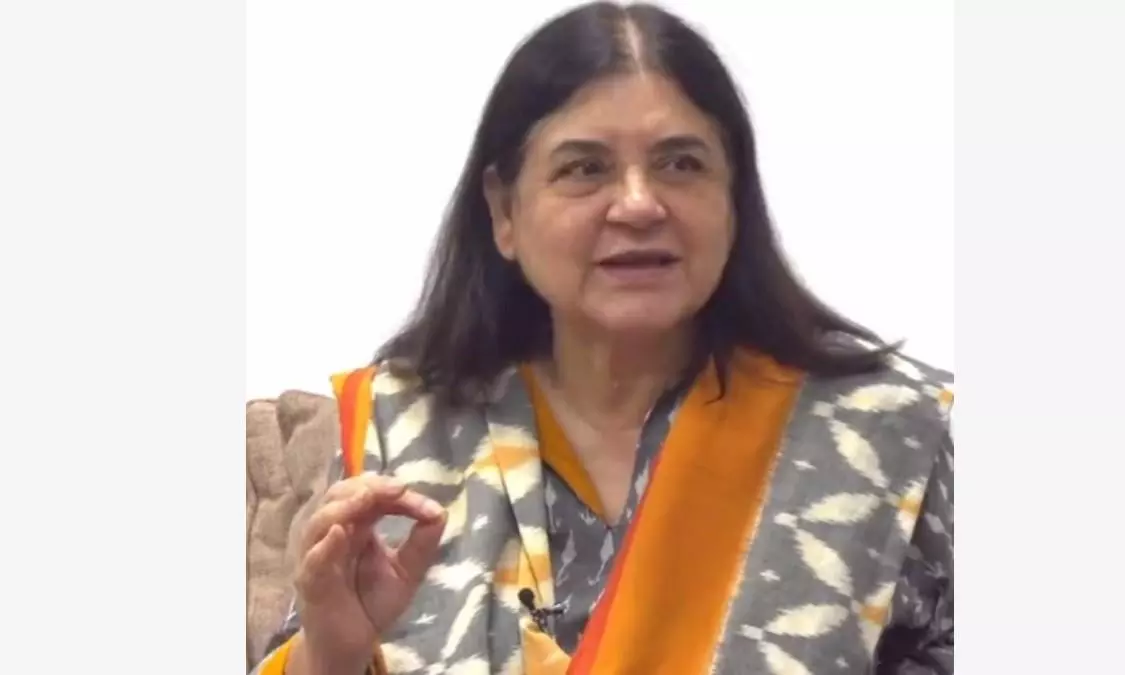 Maneka sued for Rs 100 crore for saying ISKCON sold cows to butchers