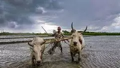 Monsoon ends with normal rainfall as positive factors counter El Nino effect: IMD