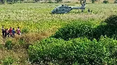 IAF aircraft makes emergency landing in MP, all 6 persons on board safe: Police