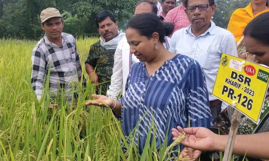 How rice researcher Swati Nayak bridges the gap between lab and field