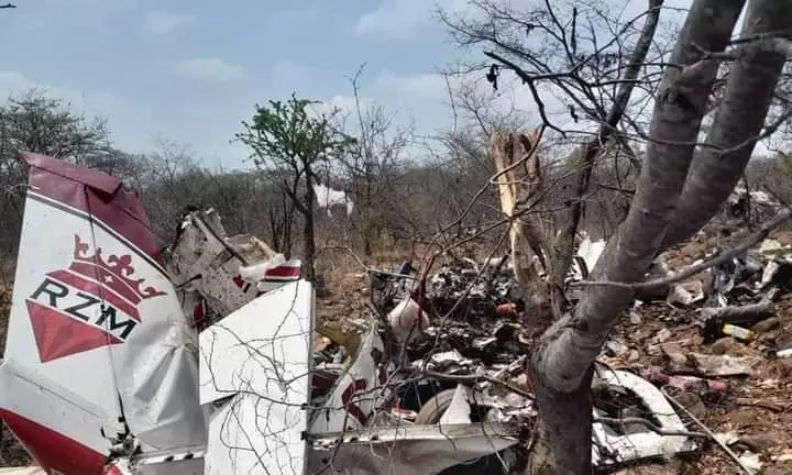 Indian mining tycoon Harpal Randhawa, son among six killed in Zimbabwe plane crash