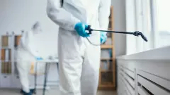 Ahead of Olympics, Paris and other French cities battle bedbug invasion