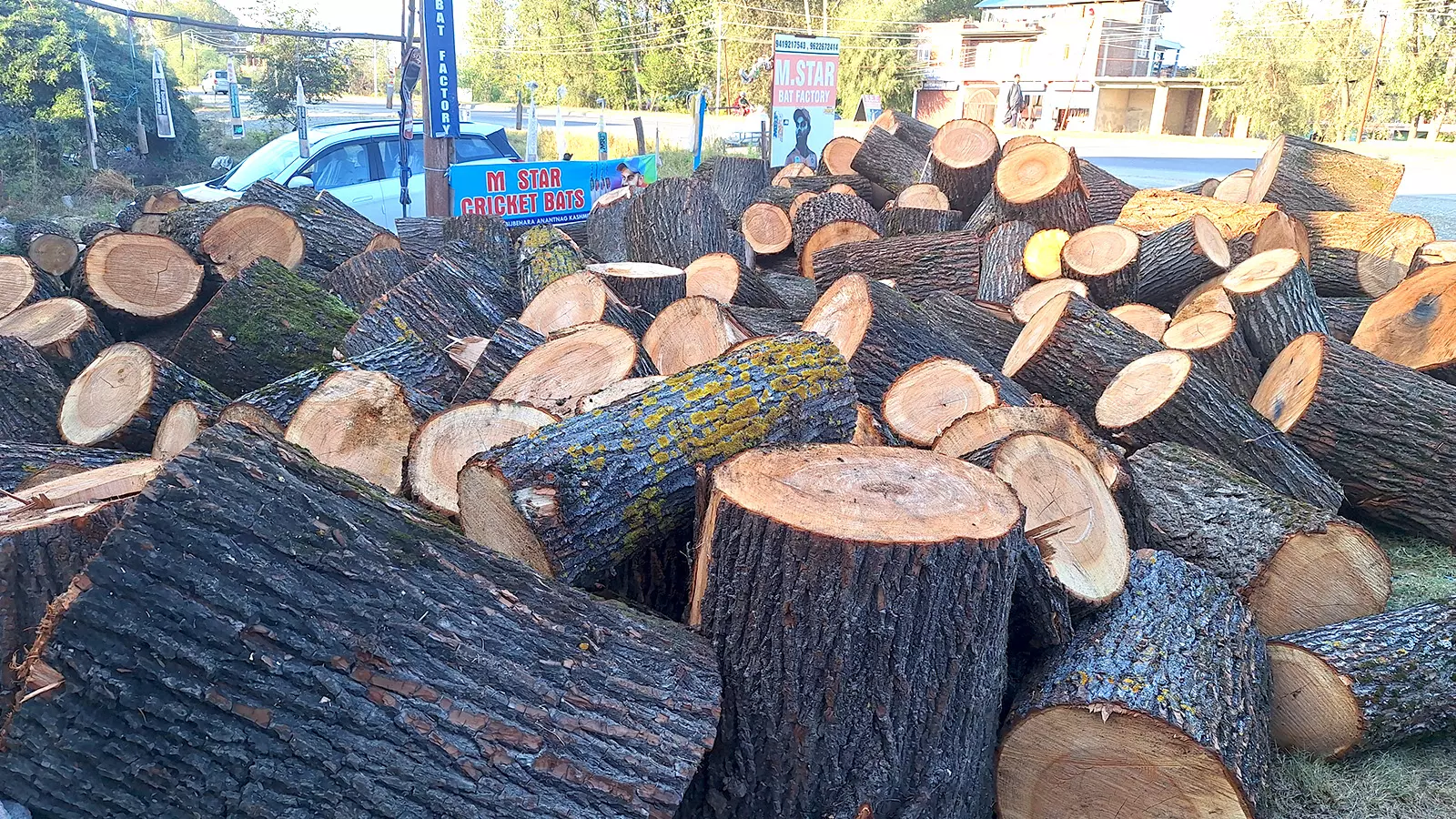 Kashmiri willow wood is used to make bats that are used by international cricket players as well.