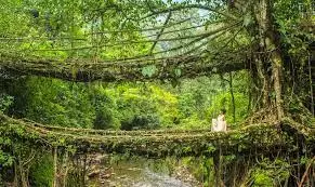Over 60 records from India in Guinness Book 2024, rain in Cherrapunji among oldest entry
