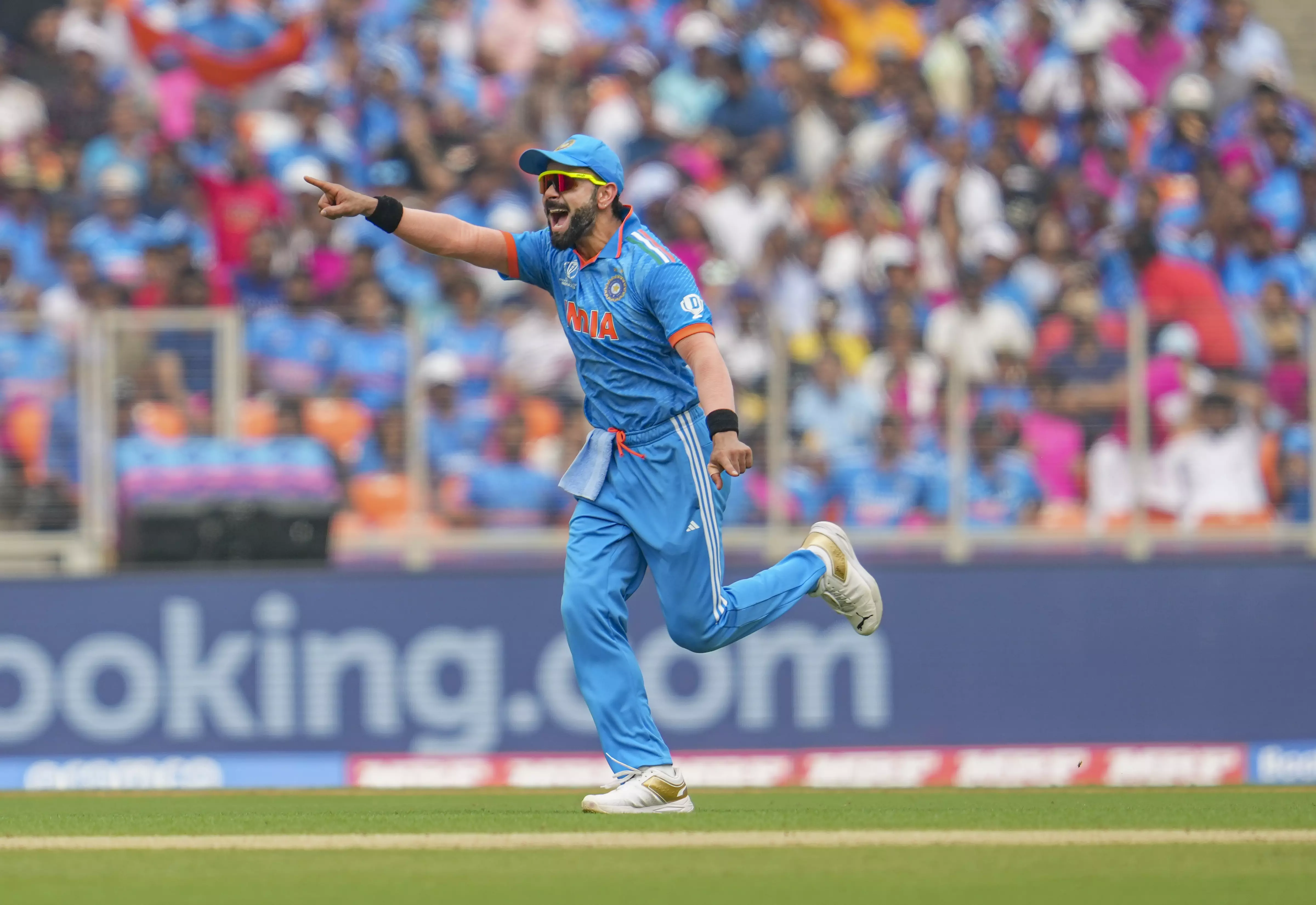 World Cup 2023: Virat Kohli celebrates a Pakistan wicket. Photo: PTI