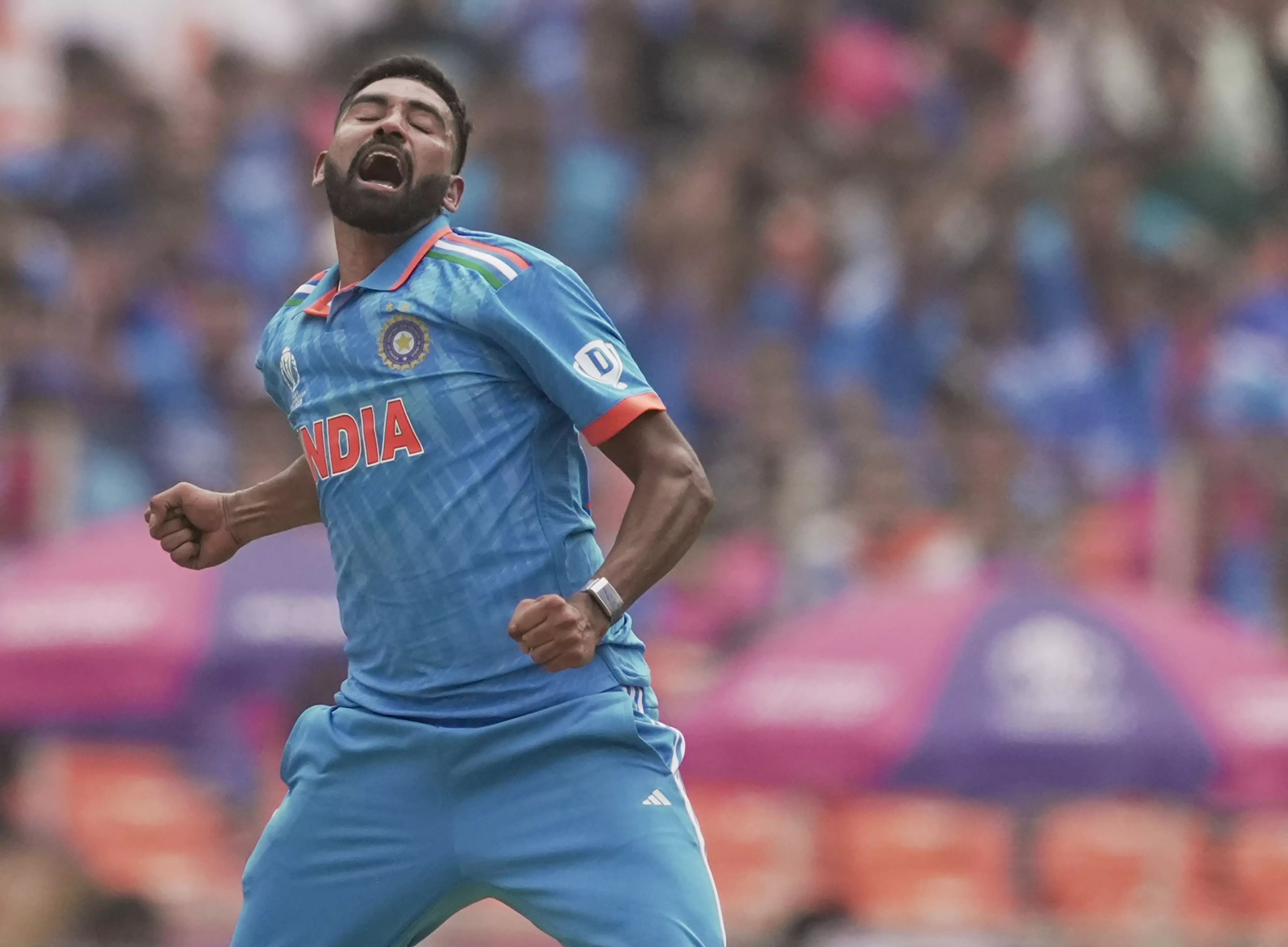 Mohammed Siraj celebrates Abdullah Shafiques wicket. Photo: PTI