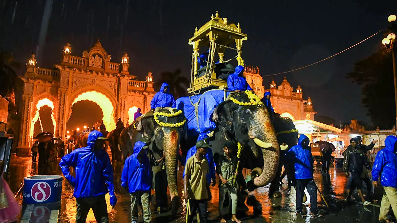 Mysuru Dasara, Abhimanyu elephant Mysuru Dasara, Abhimanyu elephant