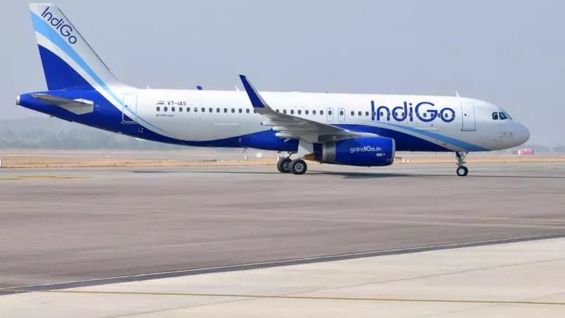 Indigo plane damaged after being struck by bird in Rishikesh; passengers safe