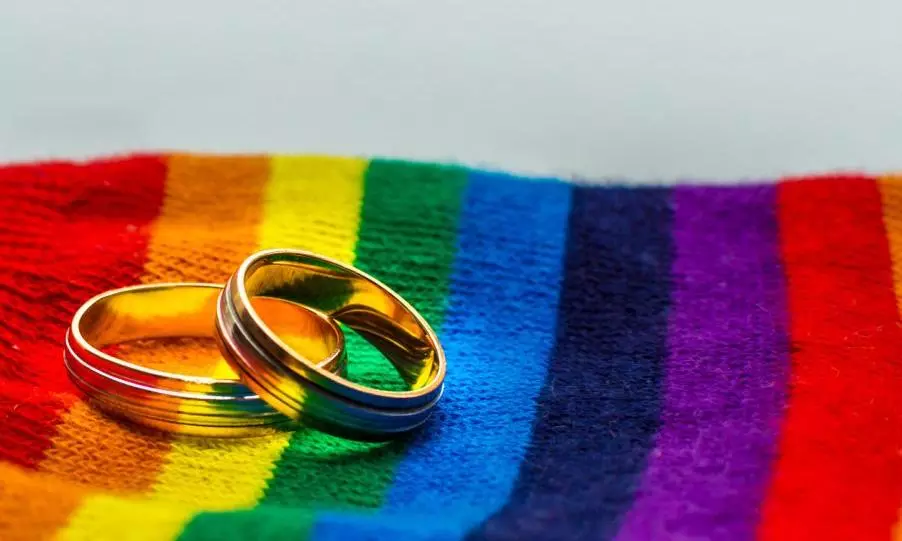 LGBTQIA+ members, parents, same sex marriage