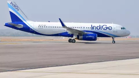 Indigo plane damaged after being struck by bird in Rishikesh; passengers safe