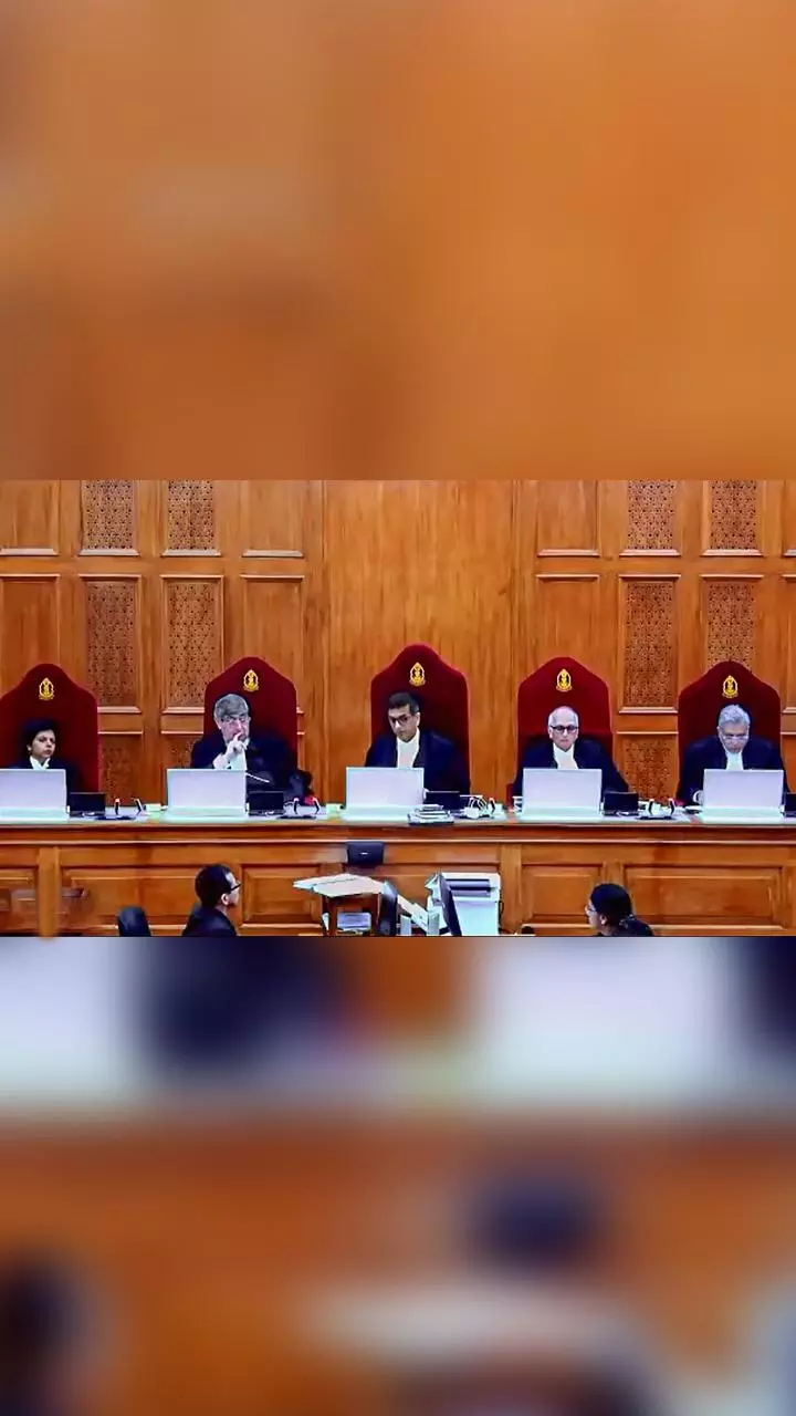 Same sex marriage verdict: A look at the protests in photos