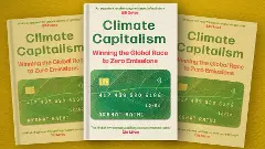 Climate Capitalism review: How green transition can be profitable for businesses